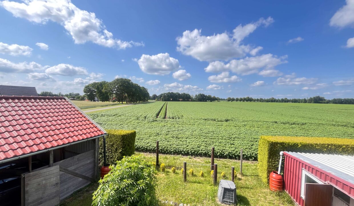 Blick in die Natur