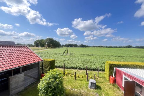 Blick in die Natur