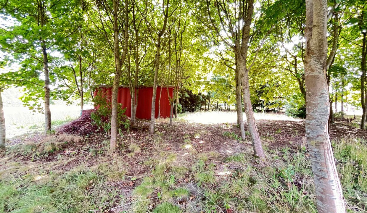 Garten mit Bäumen
