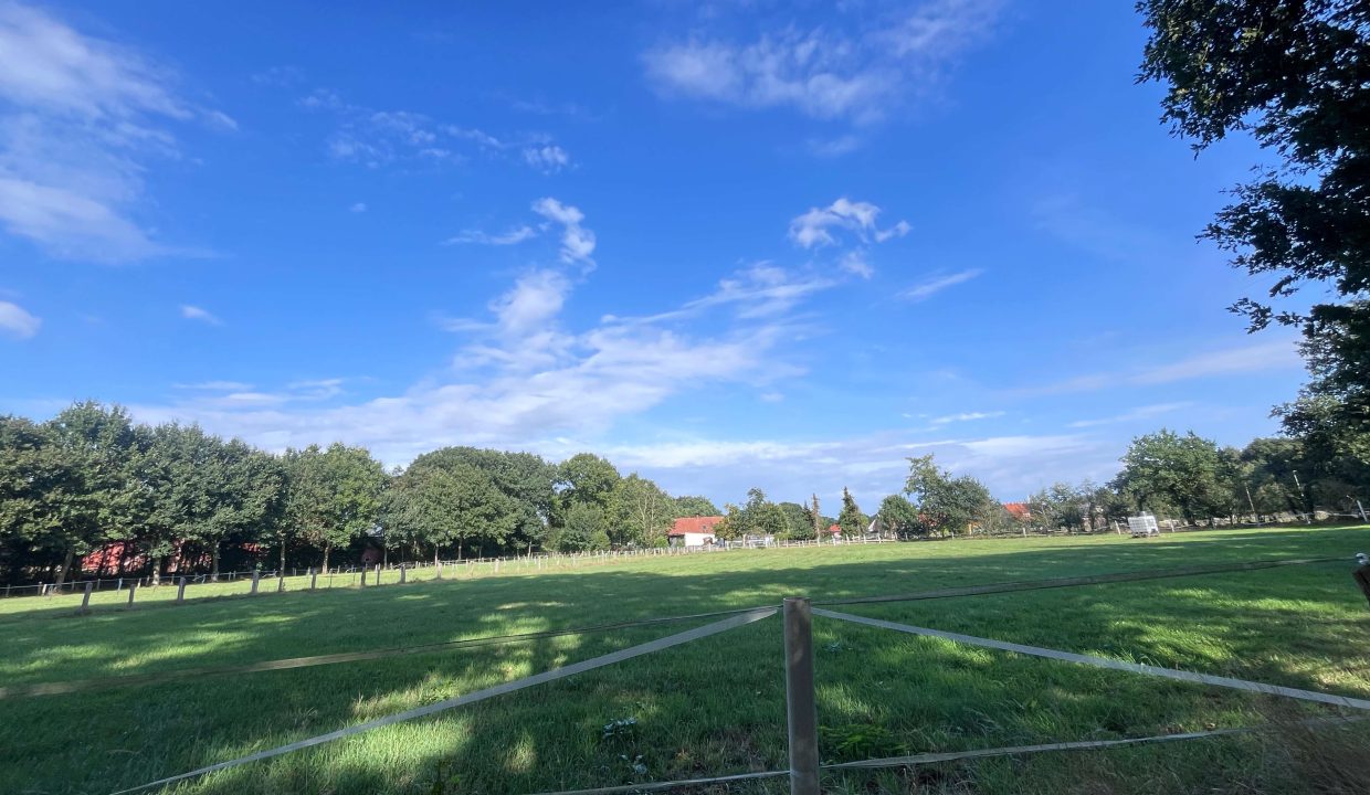 Großes Grundstück 6479 m²