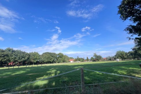 Großes Grundstück 6479 m²