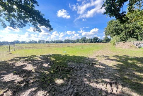 Blick ins Grüne