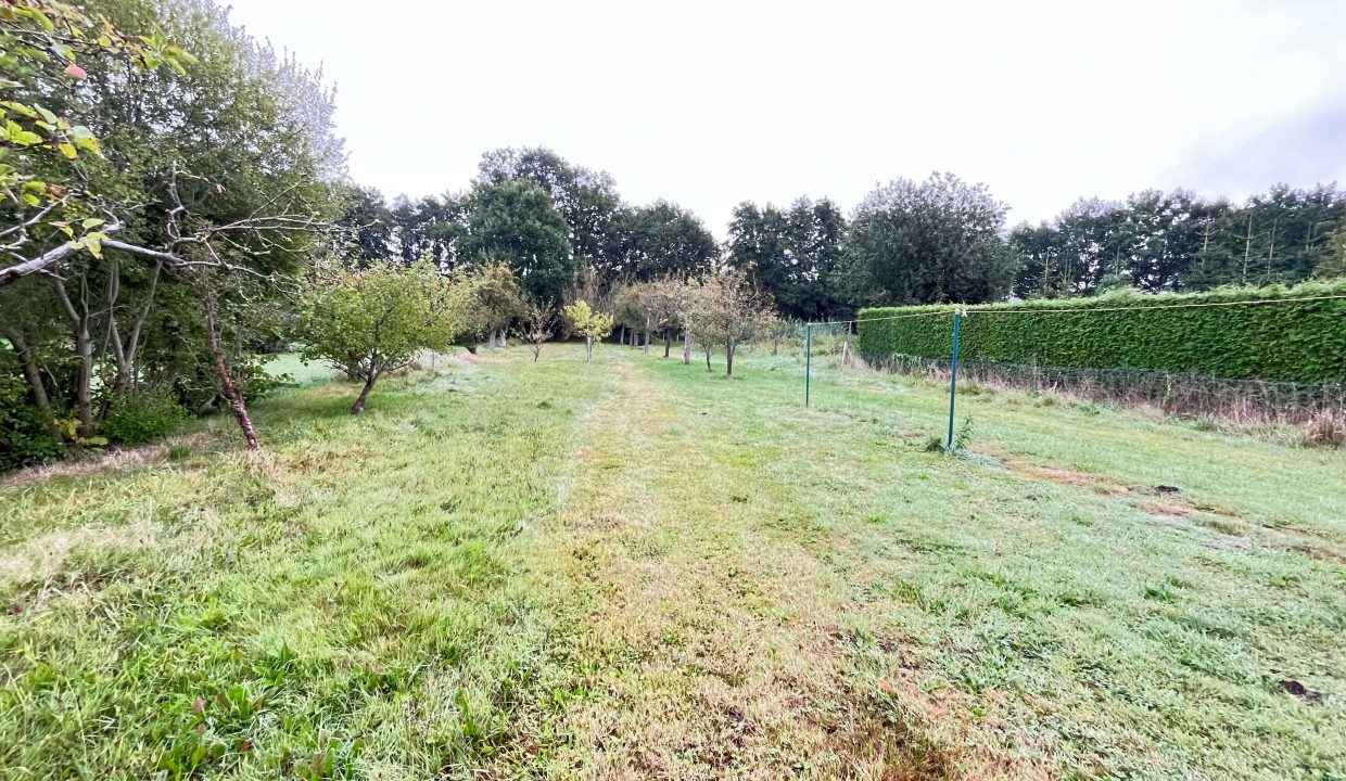 2300 m² Grundstück