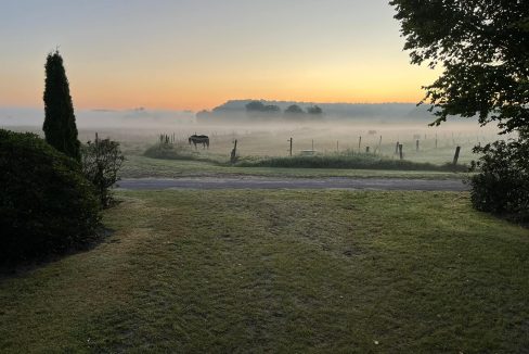 Natur pur