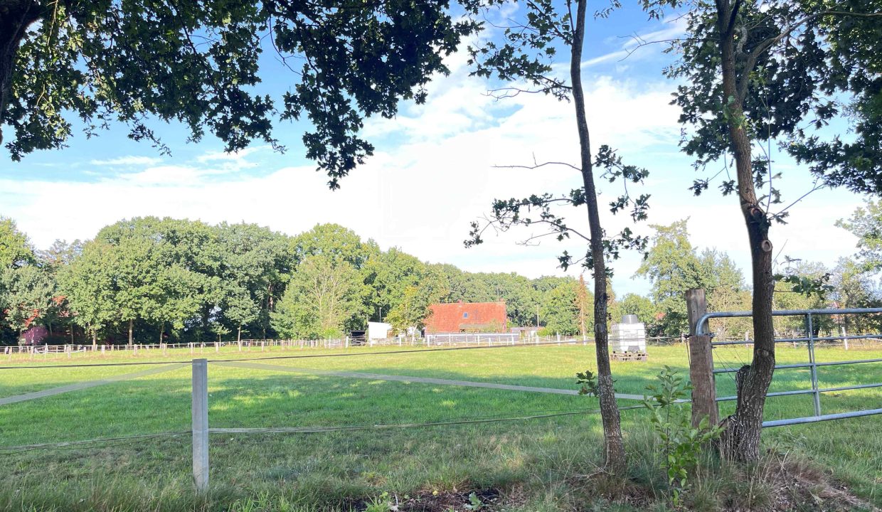 Großes Grundstück 6479 m²