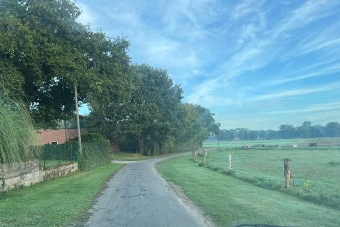 Lage in grüner Natur