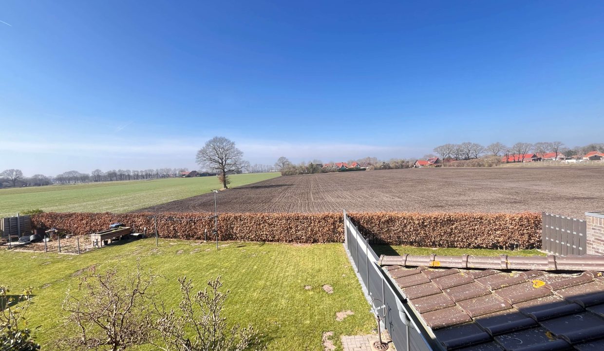 Blick in die Natur