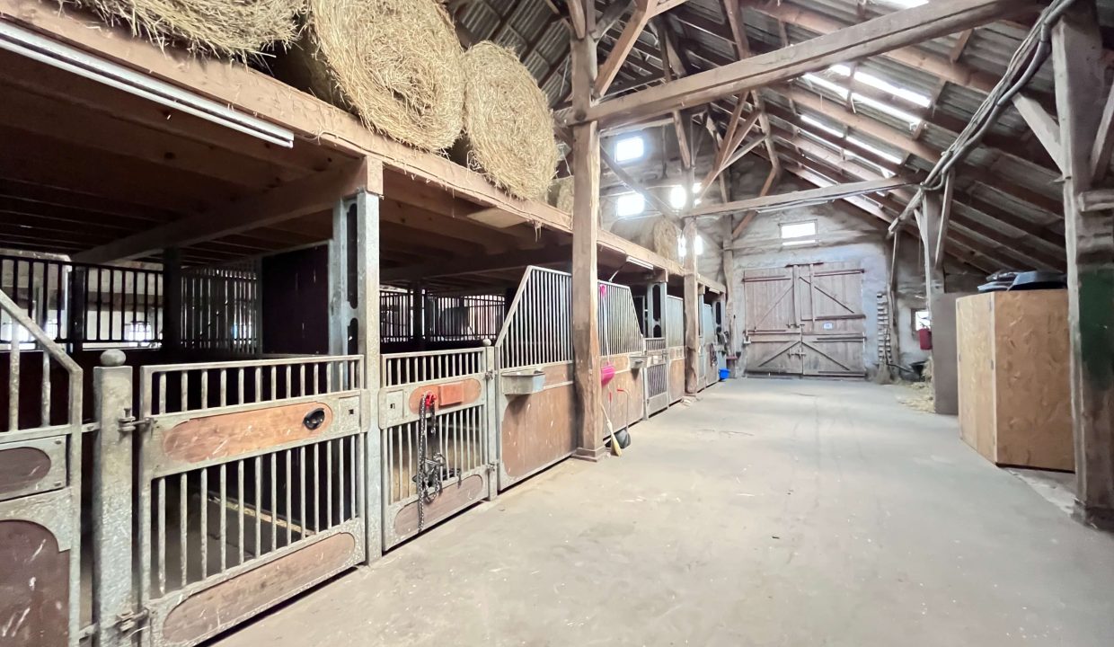 Tenne mit Pferdeboxen