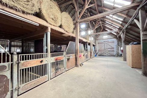 Tenne mit Pferdeboxen