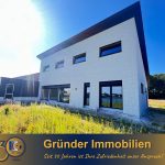 Schriftzug für Internetbild 30 Jahre blau-1