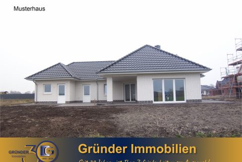 Schriftzug für Internetbild 30 Jahre blau