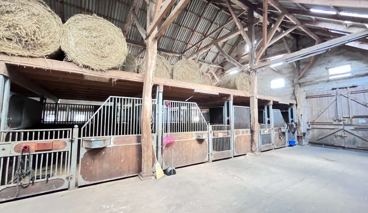 Stallgebäude mit Pferdeboxen