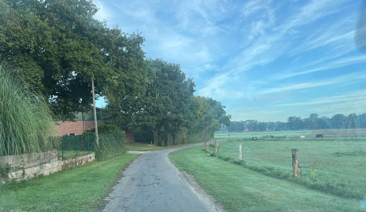 Lage in grüner Natur