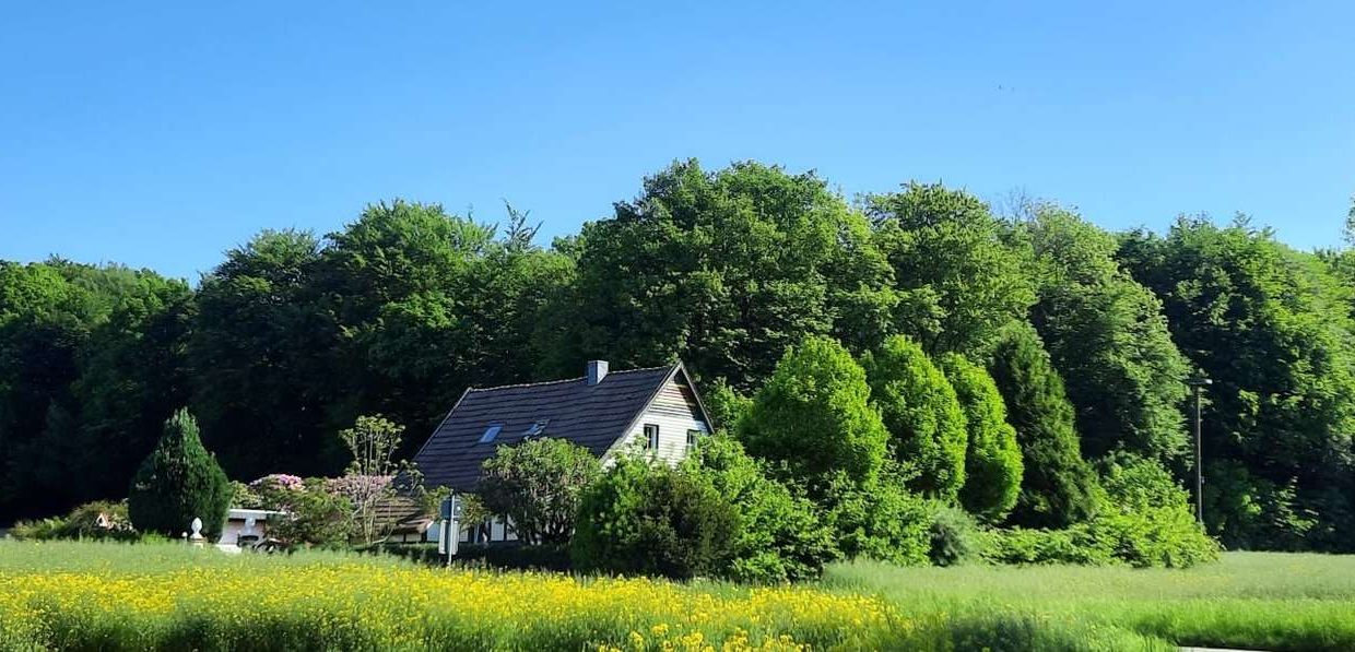 Weitsicht