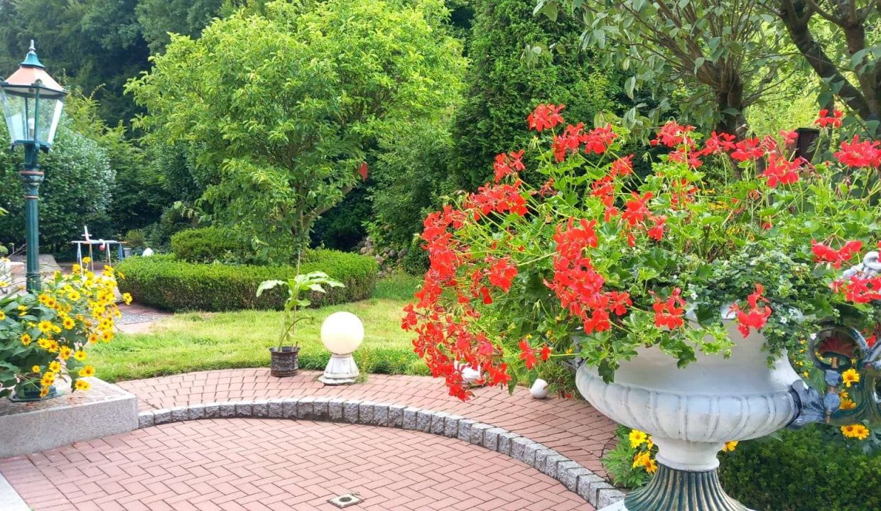 Garten von der Terasse