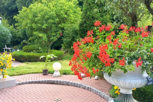 Garten von der Terasse