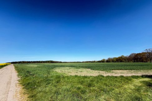 Wiesen und Felder