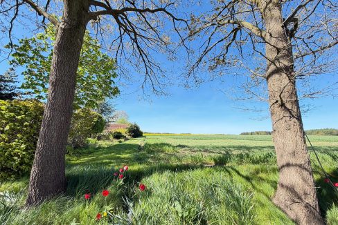WIesen und Felder
