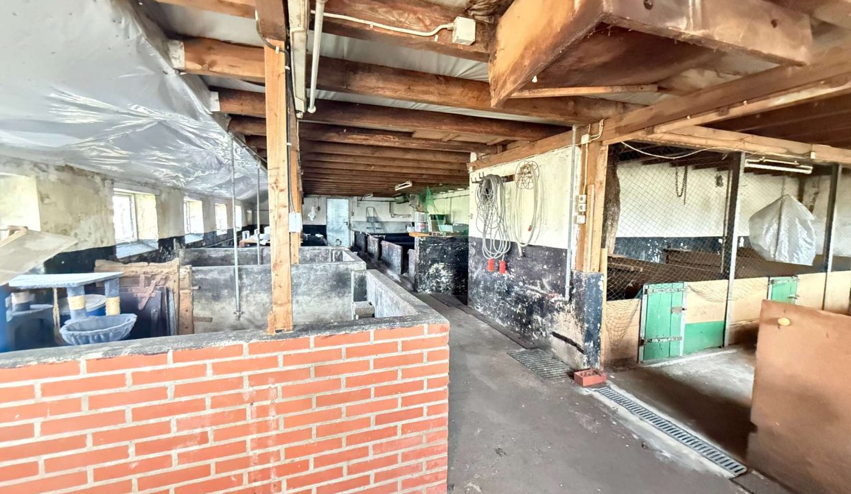 Stallungen