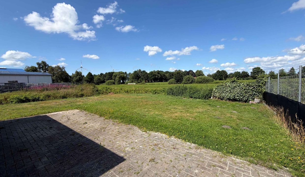 Blick ins Grüne
