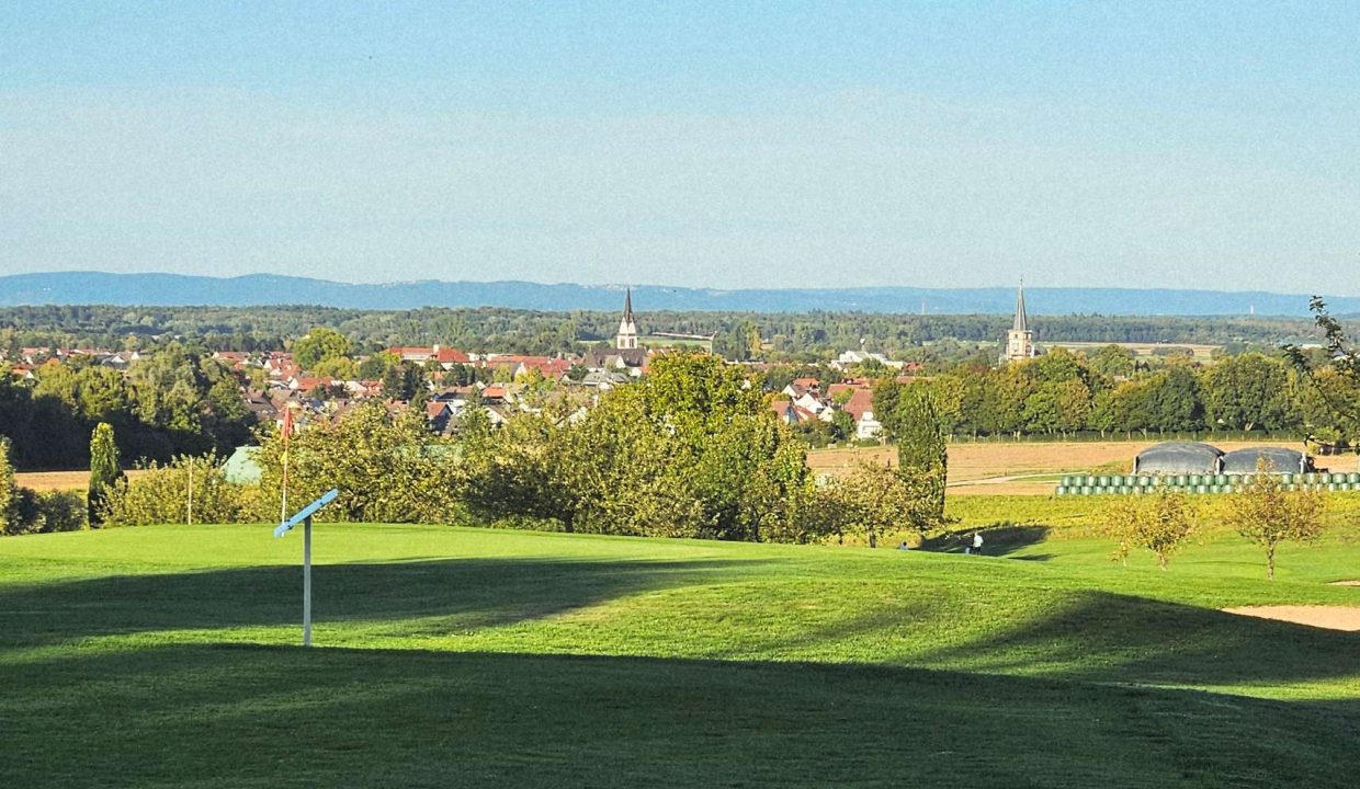 Einmaliger Blick ins Grüne