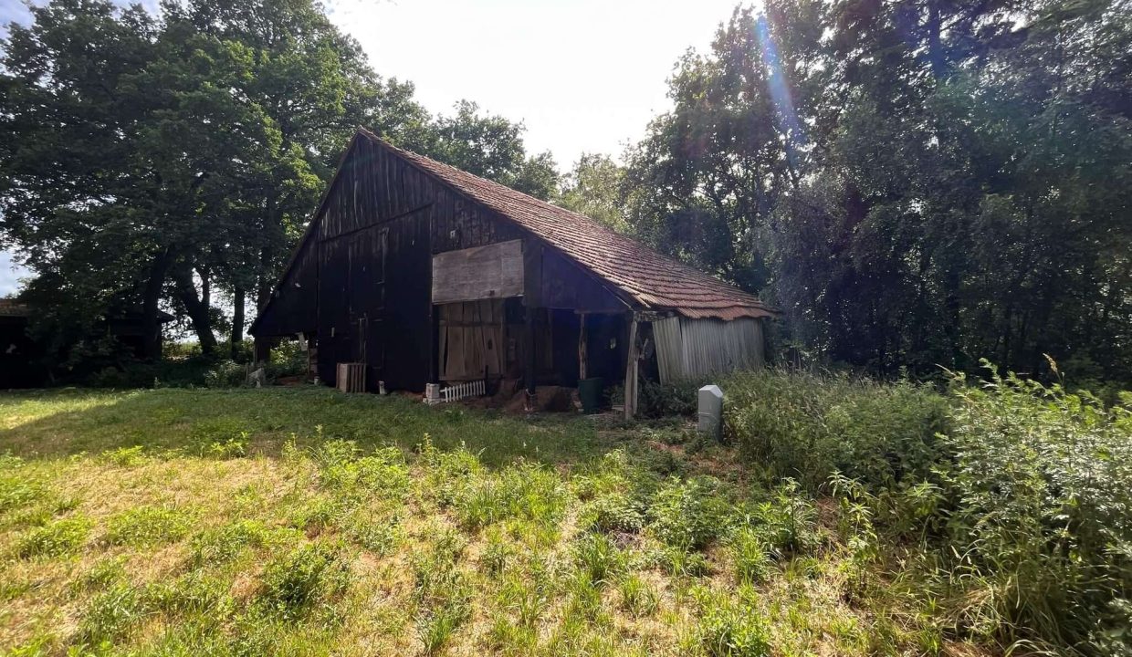 Schuppen