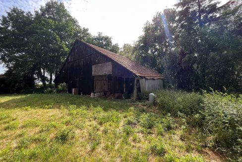 Schuppen