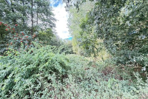 Kleiner Wald