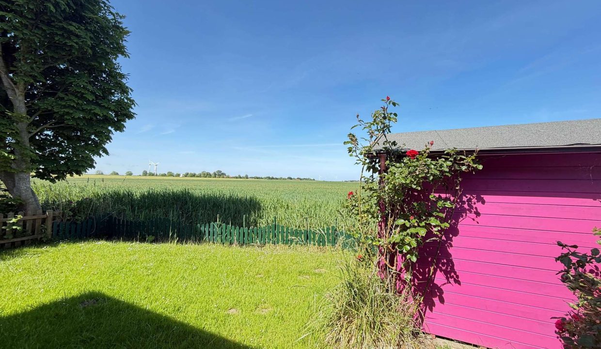 Blick ins Grüne