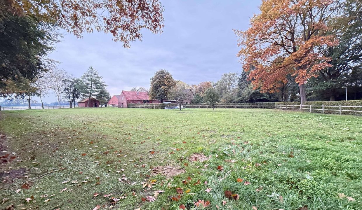 Pferdeweide
