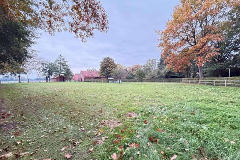 Pferdeweide
