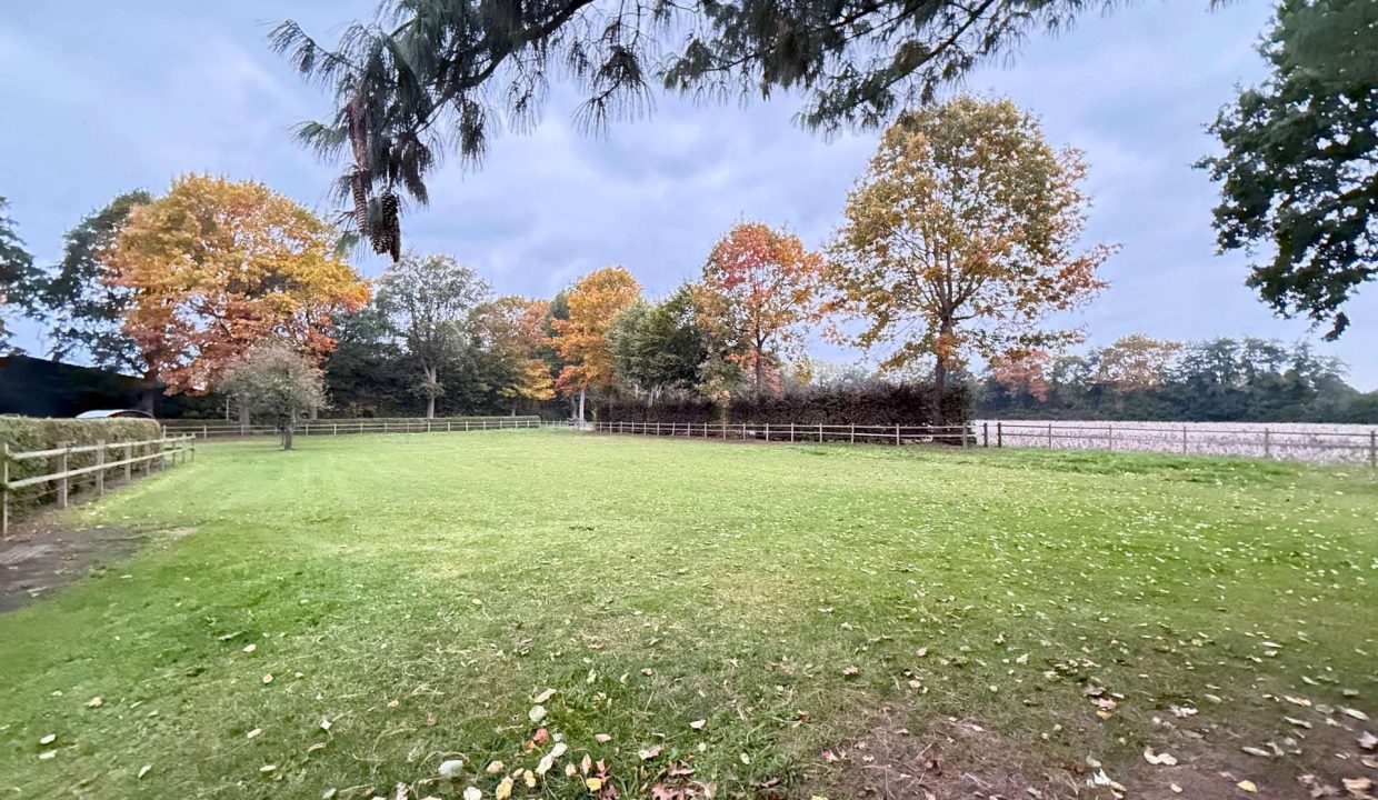 Pferdeweide