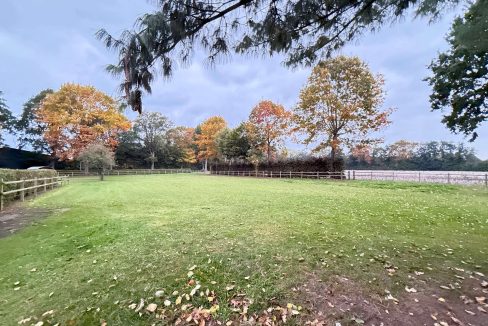 Pferdeweide