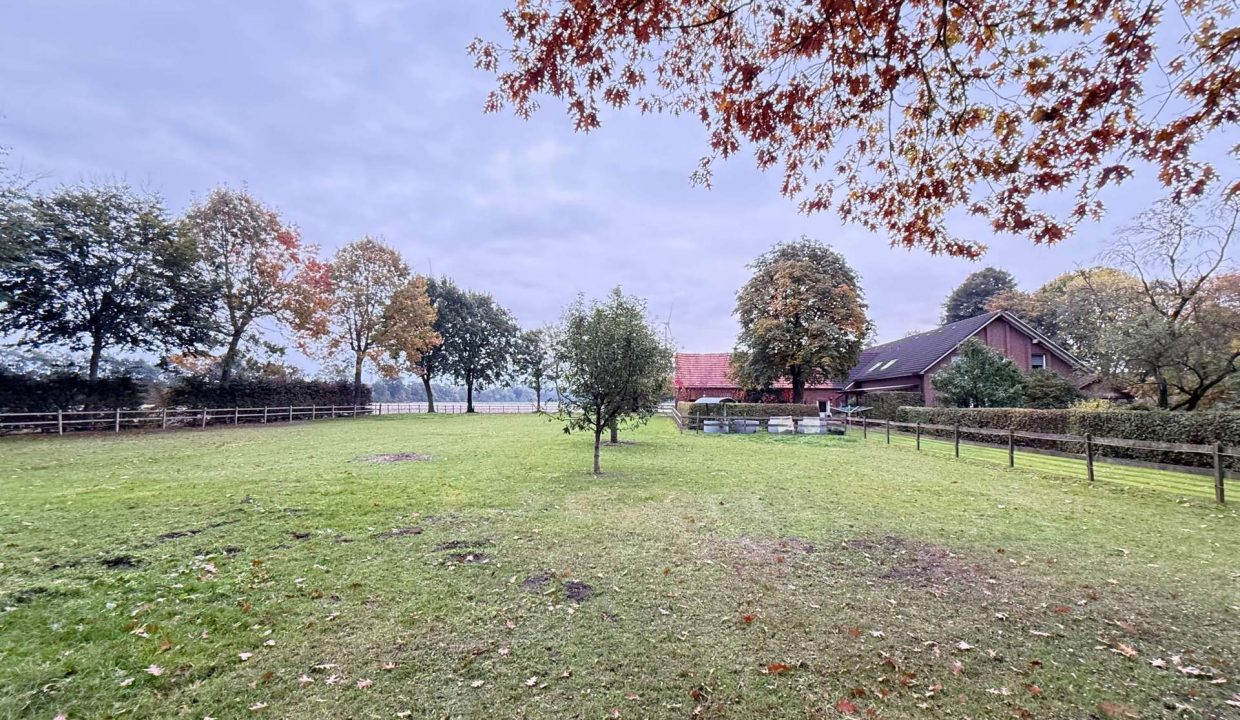 Pferdeweide