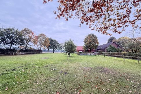 Pferdeweide