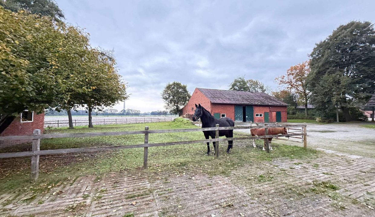 Pferdeweide