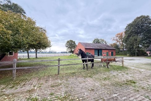 Pferdeweide