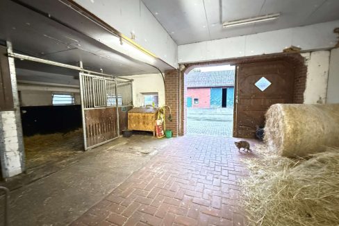 Pferdeboxen