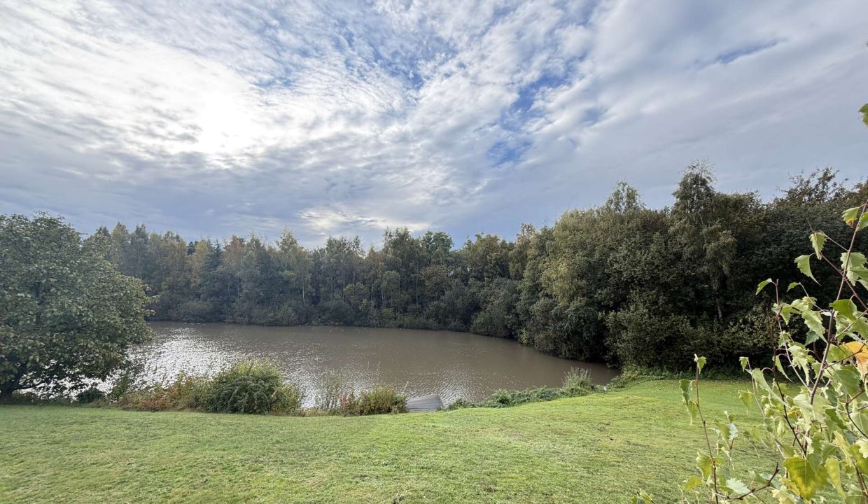 Aussicht vom Garten